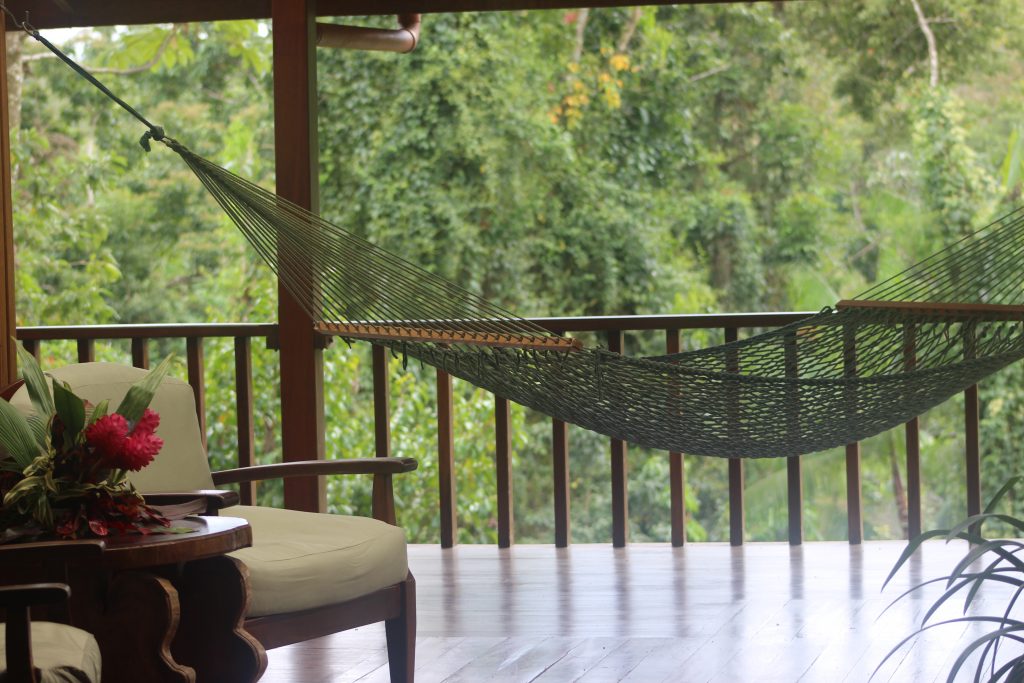 Hammock at Centauri Arts Writing Retreat