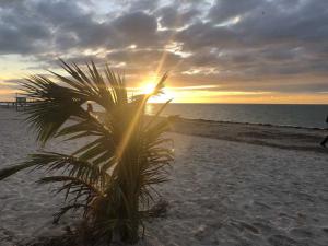 Beautiful beach