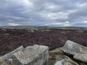 Howarth Moors