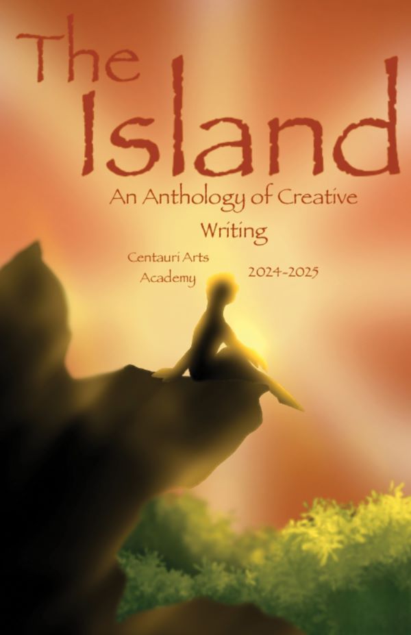 The Island Book Cover